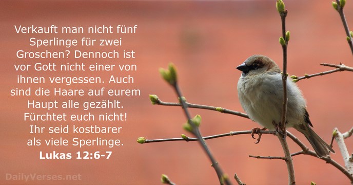 Lukas 12:6-7