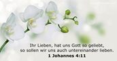 1 Johannes 4:11