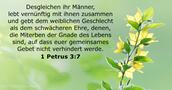 1 Petrus 3:7