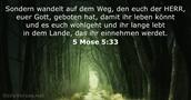 5 Mose 5:33