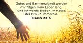 psalmen 23:6