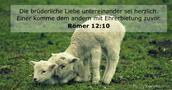 Römer 12:10