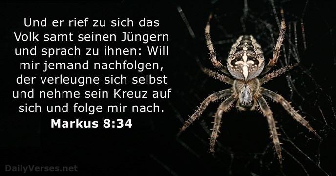 markus 8:34