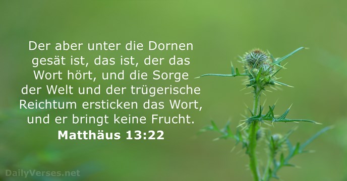 matthaus 13:22
