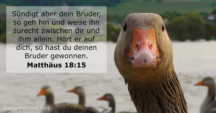 Matthäus 18:15