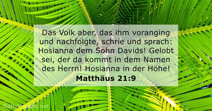 matthaus 21:9