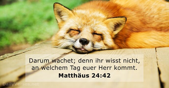 matthaus 24:42