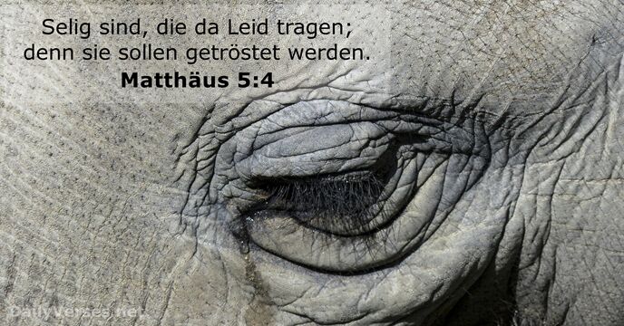 Matthäus 5:4