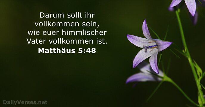 matthaus 5:48