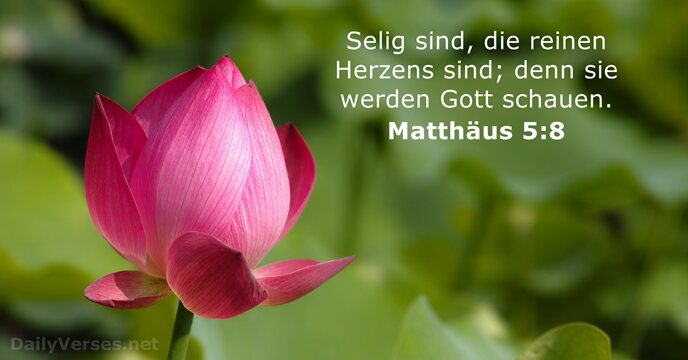 matthaus 5:8