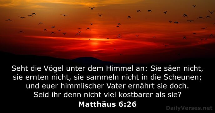 matthaus 6:26