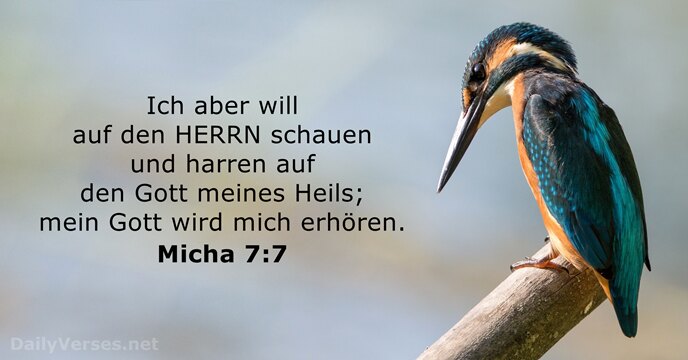 Micha 7:7