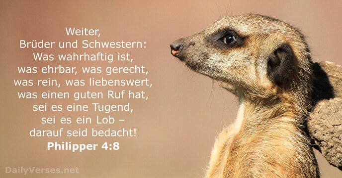 philipper 4:8