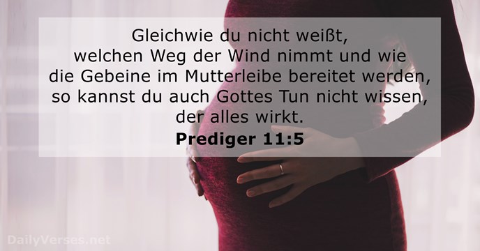 prediger 11:5