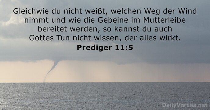 prediger 11:5