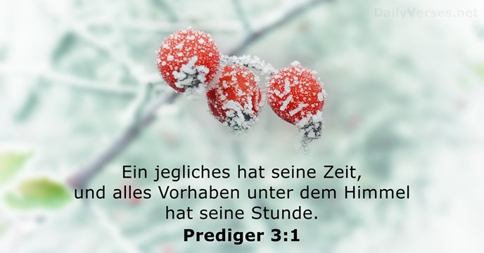 Prediger 3:1