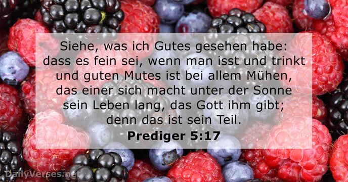 prediger 5:17