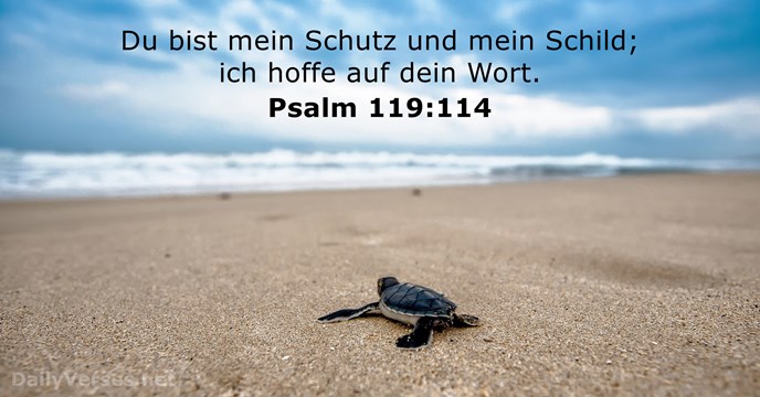 Psalmen 119:114