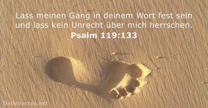 psalmen 119:133