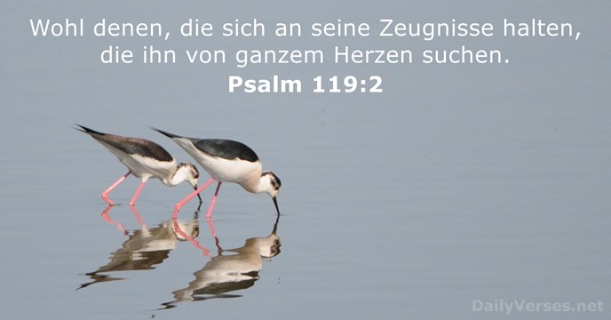 Psalmen 119:2