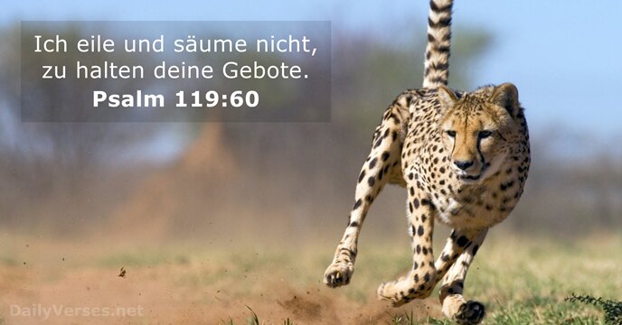 psalmen 119:60