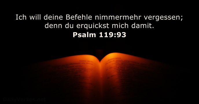 psalmen 119:93