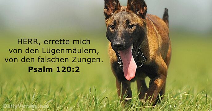 psalmen 120:2