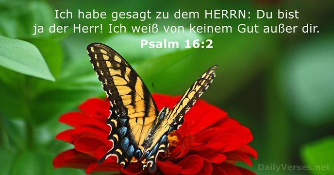 psalmen 16:2
