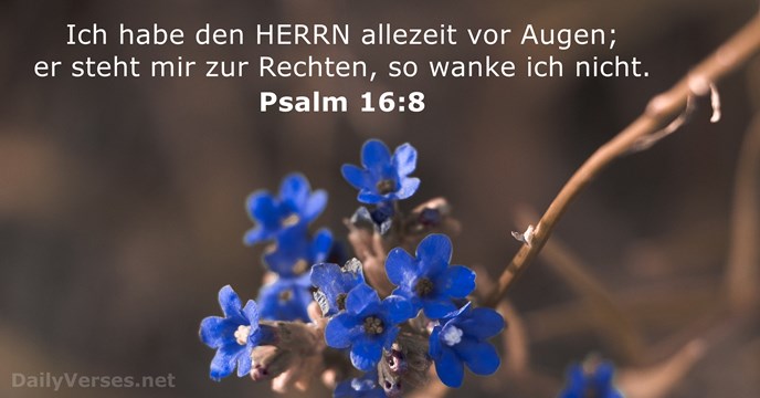psalmen 16:8