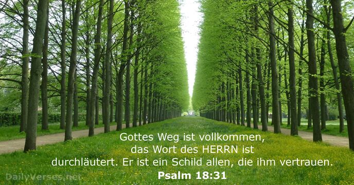 Psalmen 18:31