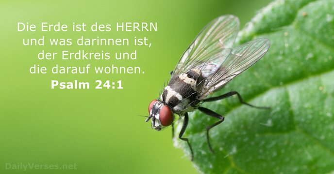 psalmen 24:1