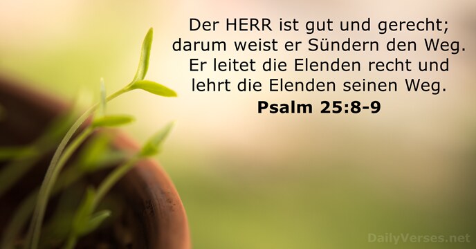 Psalmen 25:8-9