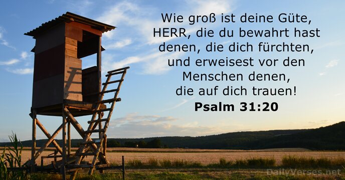 Psalmen 31:20