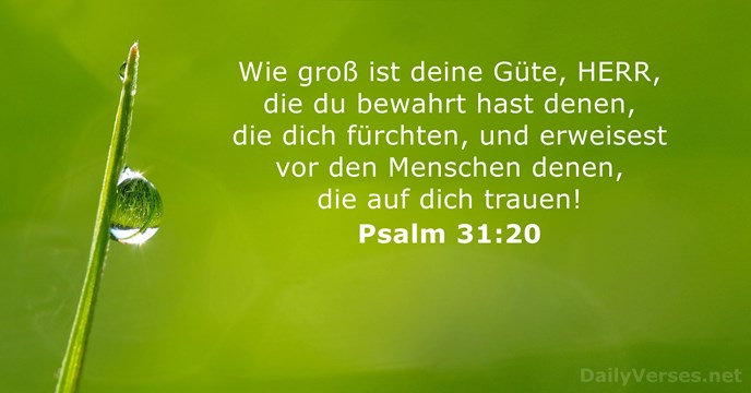 psalmen 31:20
