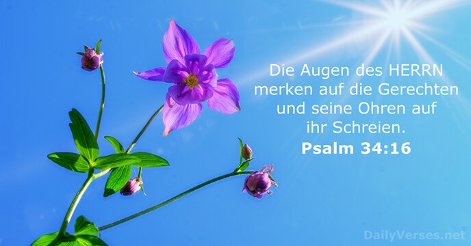 Psalmen 34:16