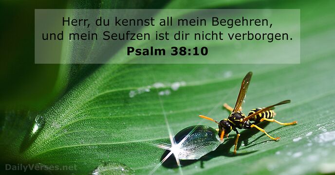 Psalmen 38:10