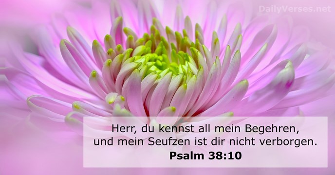 Psalmen 38:10