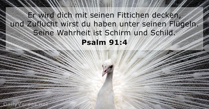 psalmen 91:4