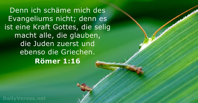 romer 1:16