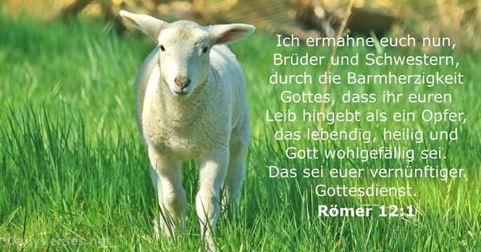 romer 12:1