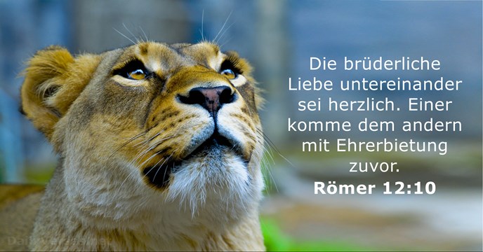 Römer 12:10