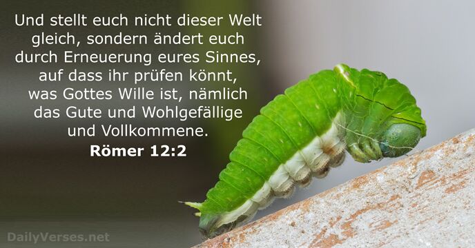 romer 12:2