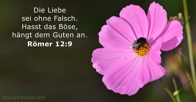romer 12:9