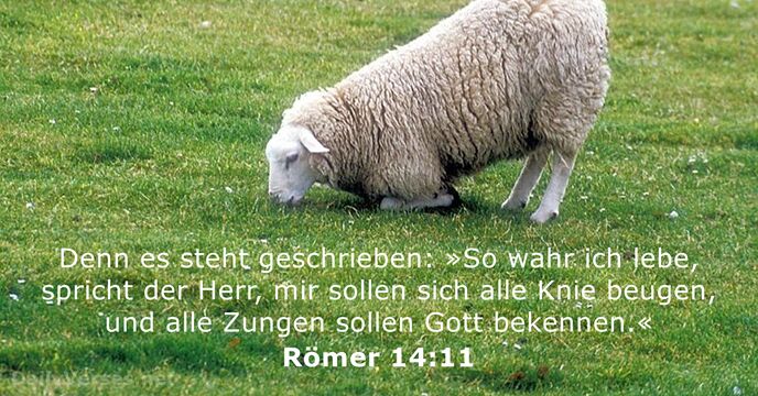 romer 14:11