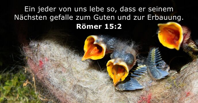 romer 15:2