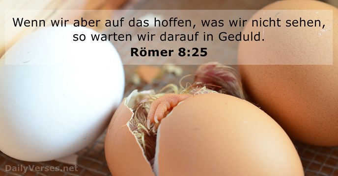 romer 8:25