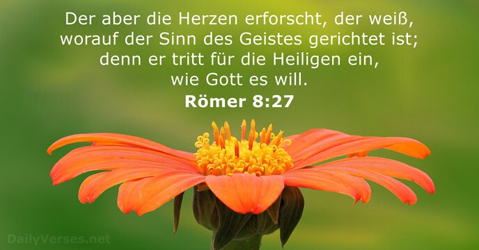 romer 8:27