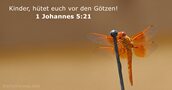 1-johannes 5:21