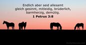 1-petrus 3:8