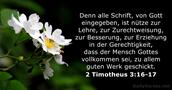2-timotheus 3:16-17